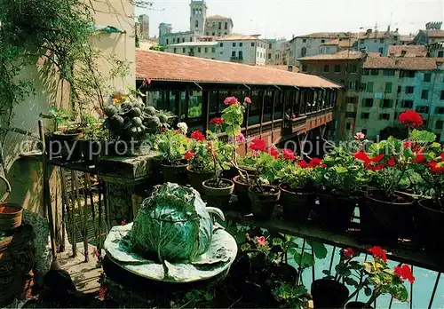 AK / Ansichtskarte Bassano_del_Grappa Ponte vecchio sul Brenta e Castello degli Ezzelini Alte Bruecke Schloss Bassano_Del_Grappa