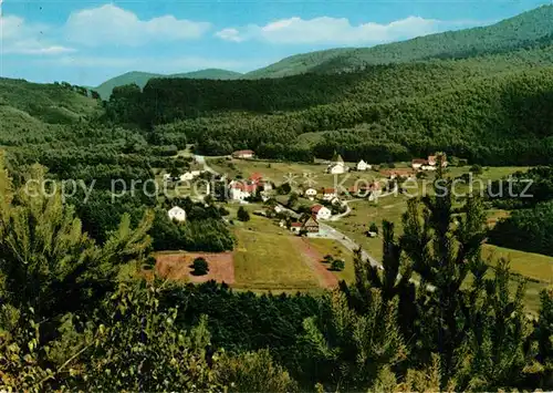 AK / Ansichtskarte Lauterschwan Landschaftspanorama Naturpark Pfaelzer Wald Lauterschwan