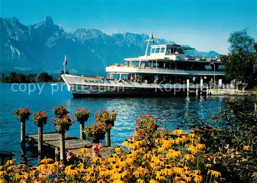 AK / Ansichtskarte Motorschiffe Bluemlisalp Thunersee Stockhorn Motorschiffe