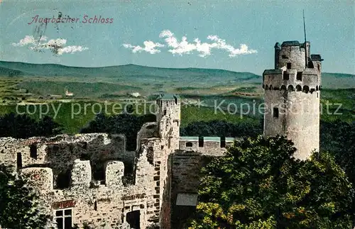 Hirschhorn_Neckar Auerbacher Schloss Hirschhorn Neckar