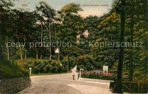 Kiel Duesternbrooker Gehoelz Stadtwald Kiel