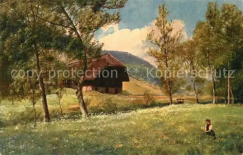 AK / Ansichtskarte Hoffmann_Heinrich Bluehende Wiese im Schwarzwald  Hoffmann Heinrich