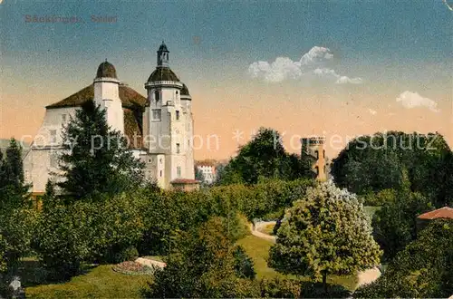 AK / Ansichtskarte Saeckingen_Bad Schloss Saeckingen_Bad