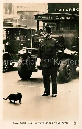 AK / Ansichtskarte Polizei England Katze  Polizei