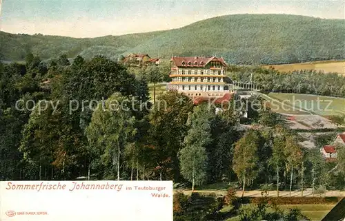 AK / Ansichtskarte Johannaberg Sommerfrische Teutoburger Wald Johannaberg