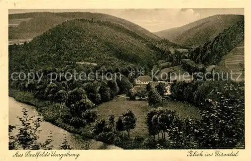 AK / Ansichtskarte Saalfeld_Saale Landschaftspanorama Gisratal Saalfeld_Saale