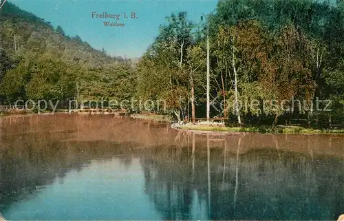 AK / Ansichtskarte Freiburg_Breisgau Waldsee Freiburg Breisgau