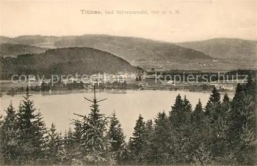 Titisee Panorama Titisee