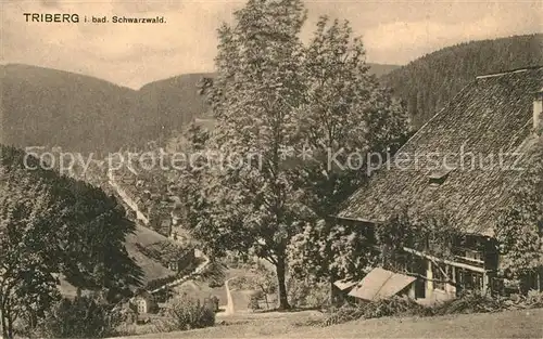 Triberg_Schwarzwald Teilansicht Triberg Schwarzwald