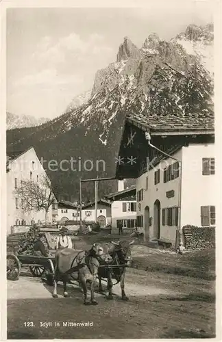 Mittenwald_Bayern Dorfpartie Ochsengespann Mittenwald Bayern