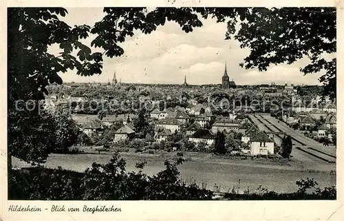 Hildesheim Stadtpanorama Blick vom Berghoelzchen Restaurant Pension Hildesheim