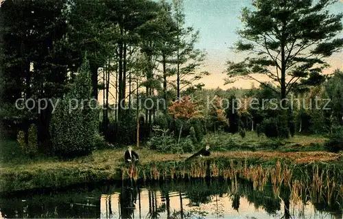 AK / Ansichtskarte Lueneburger_Heide Am Waldesrand Lueneburger Heide