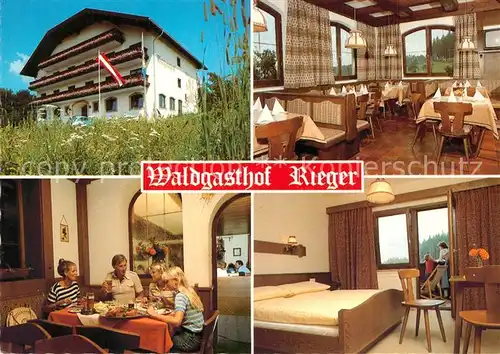 AK / Ansichtskarte Tullnerbach Waldgasthof Pension Rieger Tullnerbach