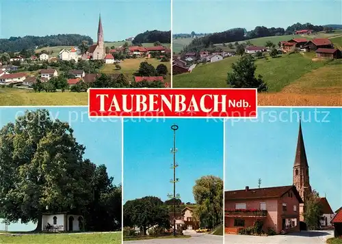 AK / Ansichtskarte Taubenbach_Niederbayern Teilansichten mit Kirche Maibaum Kapelle Alter Baum Taubenbach Niederbayern