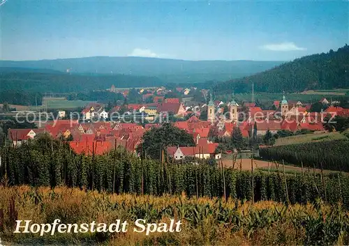 AK / Ansichtskarte Spalt Panorama Hopfenanbau Spalt