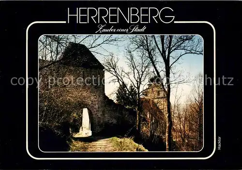 AK / Ansichtskarte Herrenberg_Wuerttemberg Stadttor Herrenberg Wuerttemberg