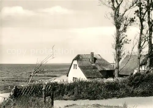 AK / Ansichtskarte Ahrenshoop_Ostseebad Am Steilufer  Ahrenshoop_Ostseebad