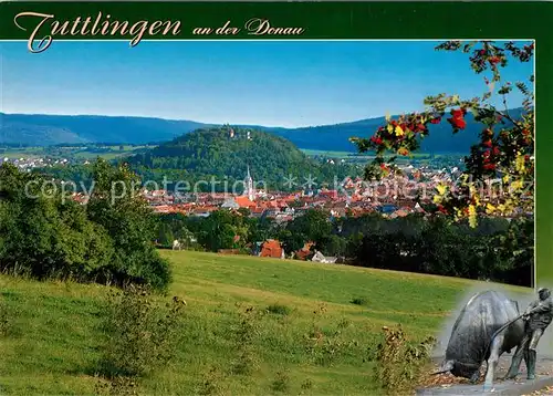 AK / Ansichtskarte Tuttlingen Panorama Burg Tuttlingen
