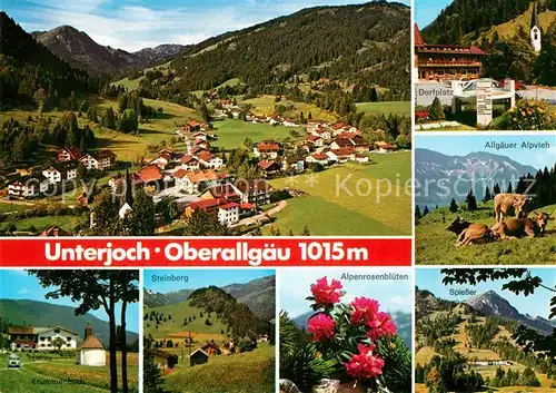 AK / Ansichtskarte Unterjoch Panorama Dorfplatz Allgaeuer Alpvieh Krummenbach Steinberg Spiesser Unterjoch