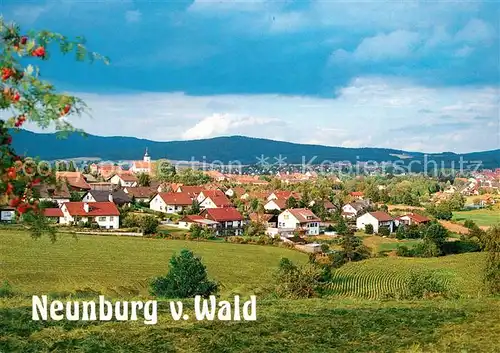 AK / Ansichtskarte Neunburg_Wald Panorama Neunburg Wald