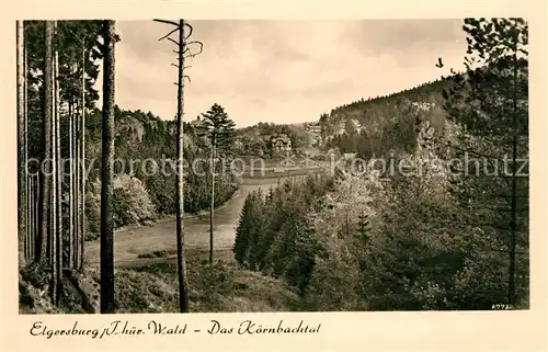 AK / Ansichtskarte Elgersburg Panorama Koernbachtal Thueringer Wald Elgersburg