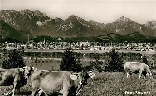 AK / Ansichtskarte Fuessen_Allgaeu Panorama Viehweide Fuessen Allgaeu