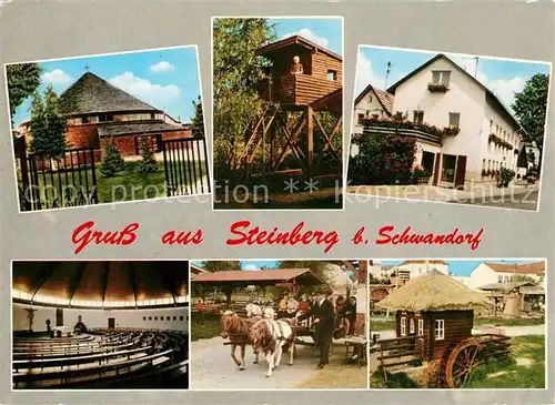 AK / Ansichtskarte Steinberg_Schwandorf Ponyhof  Steinberg Schwandorf