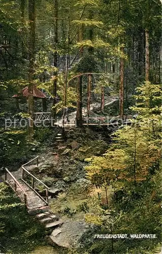 AK / Ansichtskarte Freudenstadt Waldpartie Freudenstadt