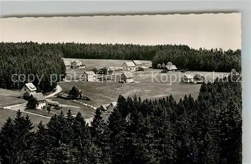 AK / Ansichtskarte Kniebis_Freudenstadt Panorama Kniebis_Freudenstadt