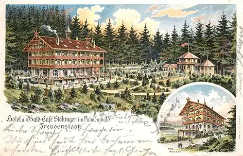 AK / Ansichtskarte Freudenstadt Hotel Stokinger Palmenwald Freudenstadt