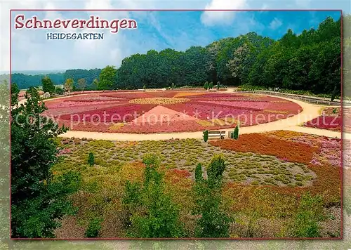 AK / Ansichtskarte Schneverdingen Park Heidegarten im Hoepen Schneverdingen