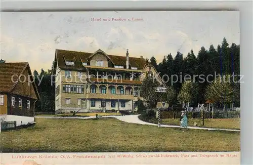 AK / Ansichtskarte Kniebis_Freudenstadt Hotel Pension zum Lamm Kniebis_Freudenstadt