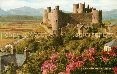 AK / Ansichtskarte Gwynedd_Wales Harlech Castle and Snowdon Gwynedd_Wales