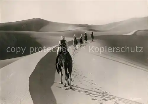 AK / Ansichtskarte Kamele Meharist en Patrouille Kamele