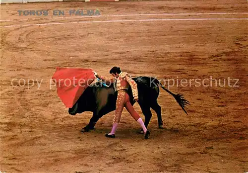 AK / Ansichtskarte Stierkampf Toros en Palma  Stierkampf