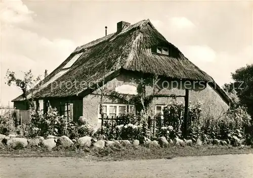 AK / Ansichtskarte Vitte_Hiddensee Blaue Scheune Vitte Hiddensee