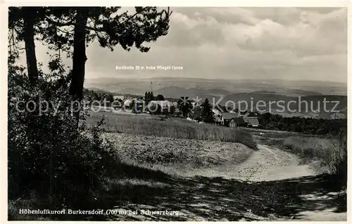 AK / Ansichtskarte Burkersdorf_Saalfelder_Hoehe Landschaftspanorama Hoehenluftkurort Burkersdorf_Saalfelder