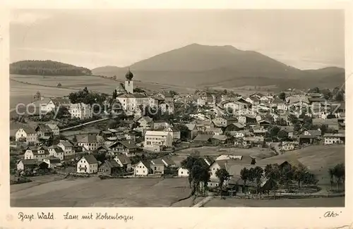 AK / Ansichtskarte Lam_Oberpfalz mit Hohenbogen Lam_Oberpfalz