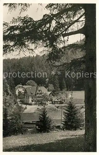 AK / Ansichtskarte Bonndorf_Schwarzwald Gasthof Pension Steinasaege Bonndorf Schwarzwald