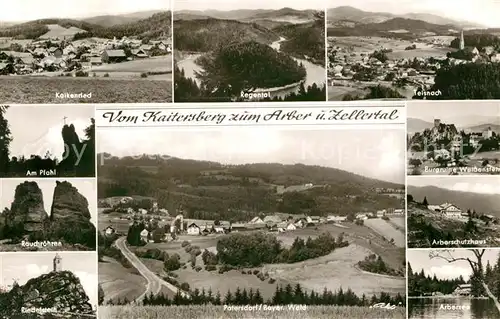 AK / Ansichtskarte Arberschutzhaus Burgruine Weissenstein Patersdorf  Arberschutzhaus