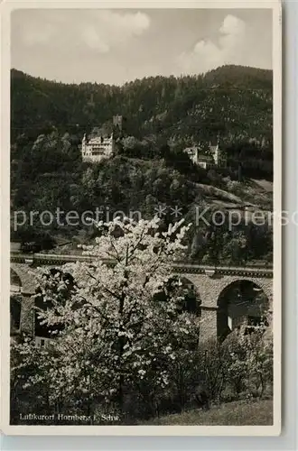 AK / Ansichtskarte Hornberg_Schwarzwald Schlossberg Hornberg Schwarzwald