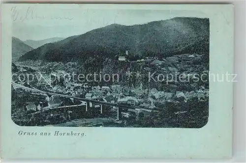 AK / Ansichtskarte Hornberg_Schwarzwald Panorama Hornberg Schwarzwald