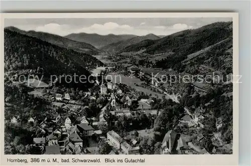 AK / Ansichtskarte Hornberg_Schwarzwald Blick ins Gutachtal Fliegeraufnahme Hornberg Schwarzwald