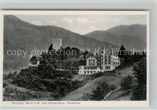 AK / Ansichtskarte Hornberg_Schwarzwald Gauschule Hornberg Schwarzwald