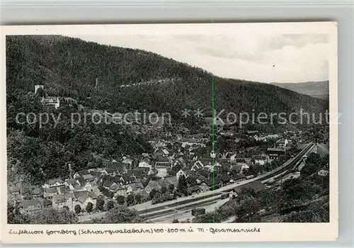 AK / Ansichtskarte Hornberg_Schwarzwald Panorama Hornberg Schwarzwald