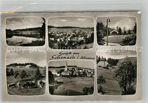 AK / Ansichtskarte Schonach_Schwarzwald Panoramen Schonach Schwarzwald