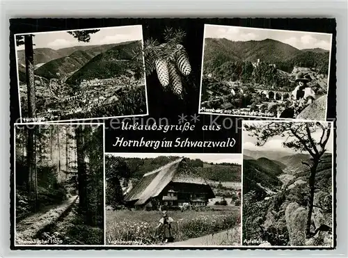 AK / Ansichtskarte Hornberg_Schwarzwald Panorama Viadukt Vogtsbauernhof Apfelfelsen Hornberg Schwarzwald