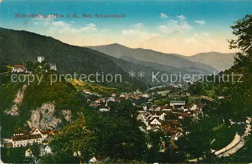 AK / Ansichtskarte Hornberg_Schwarzwald Panorama Schloss Hornberg Schwarzwald