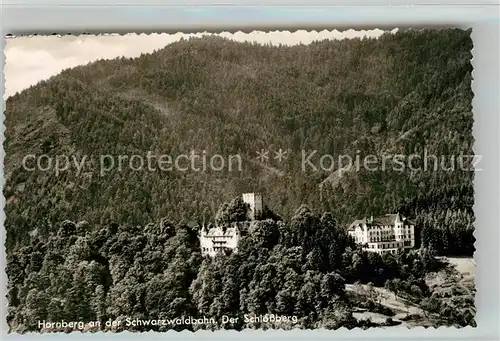 AK / Ansichtskarte Hornberg_Schwarzwald Schlossberg Hornberg Schwarzwald