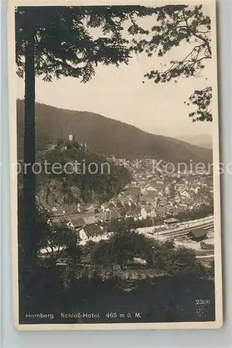 AK / Ansichtskarte Hornberg_Schwarzwald Schlosshotel Hornberg Schwarzwald